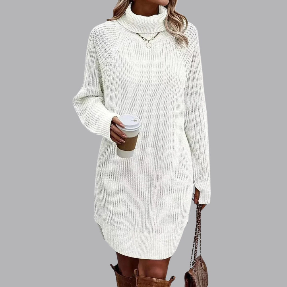 Women’s Knitted Jumper Dress Roll Neck Long Sleeve