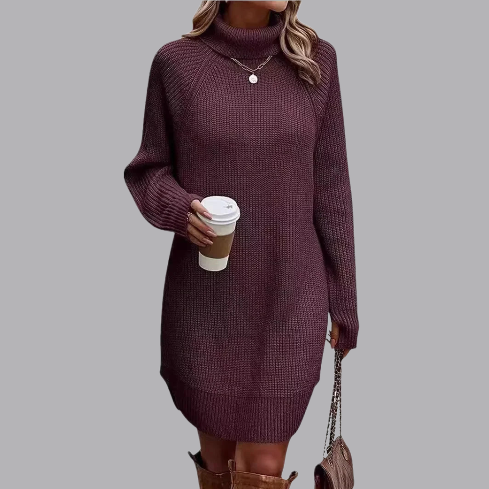 Women’s Knitted Jumper Dress Roll Neck Long Sleeve