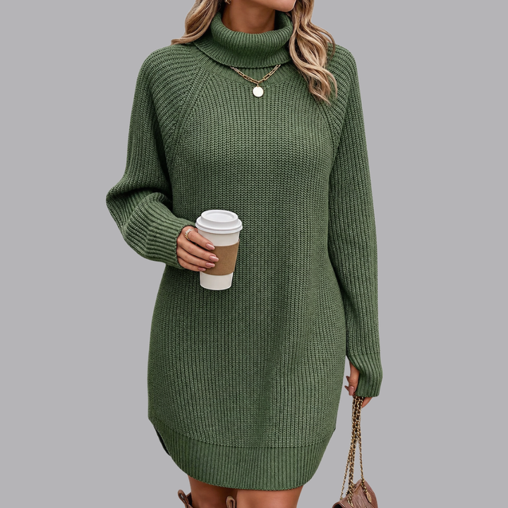 Women’s Knitted Jumper Dress Roll Neck Long Sleeve