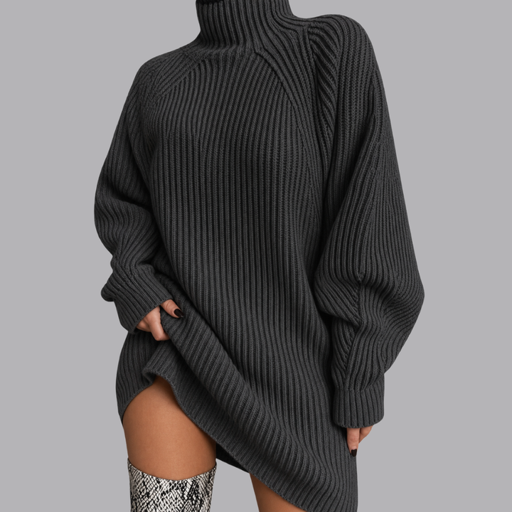 Women’s Oversized Ribbed Knit Roll Neck Mini Jumper Dress