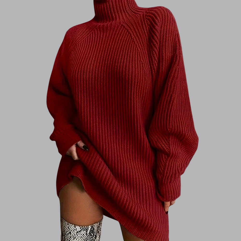 Women’s Oversized Ribbed Knit Roll Neck Mini Jumper Dress