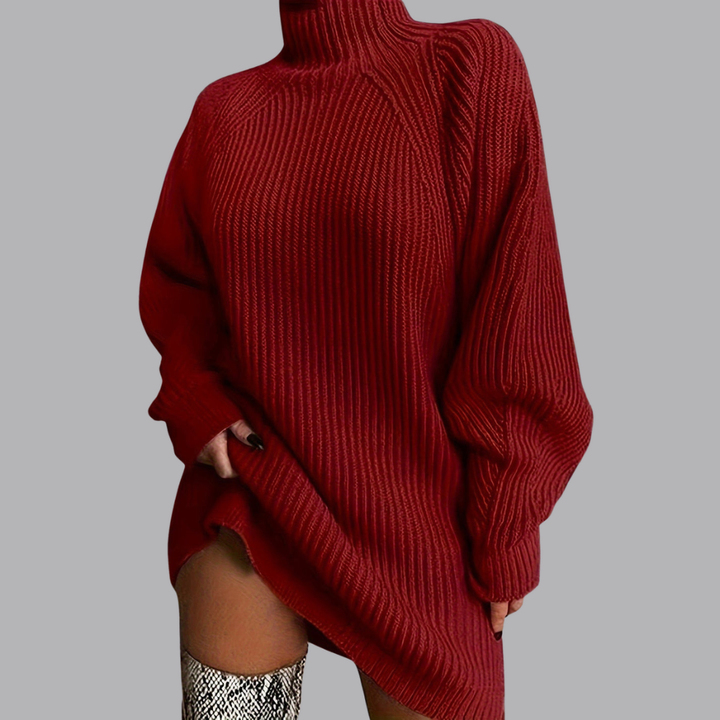 Women’s Oversized Ribbed Knit Roll Neck Mini Jumper Dress