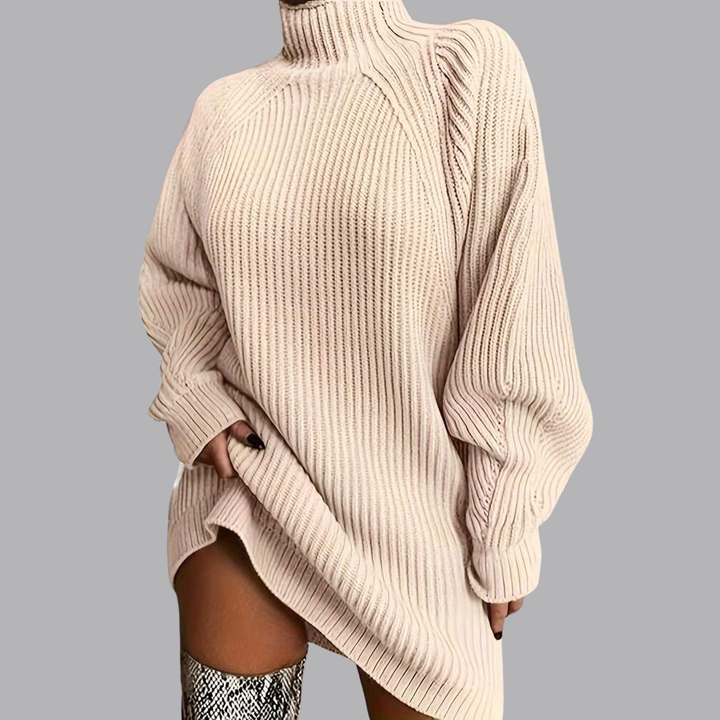 Women’s Oversized Ribbed Knit Roll Neck Mini Jumper Dress
